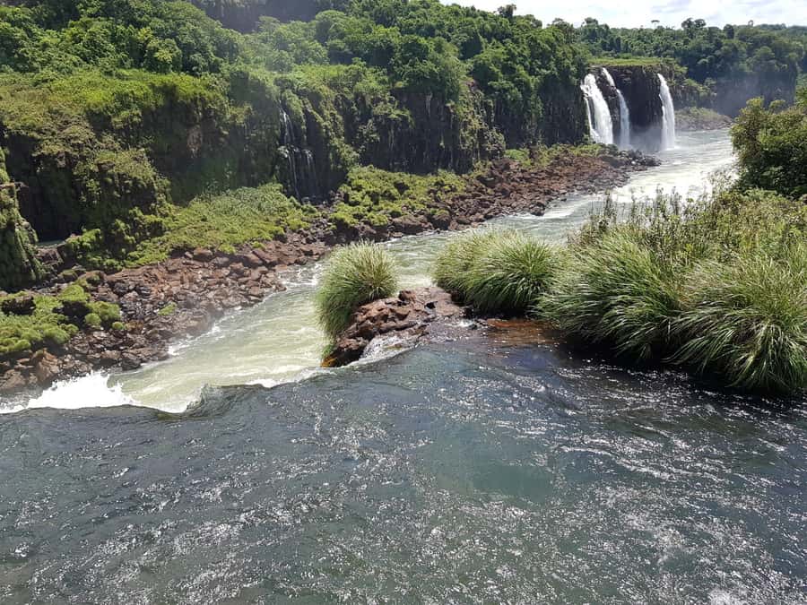 From Foz do Iguaçu: Brazilian Falls and Bird Park Tour - What this tour does not cover