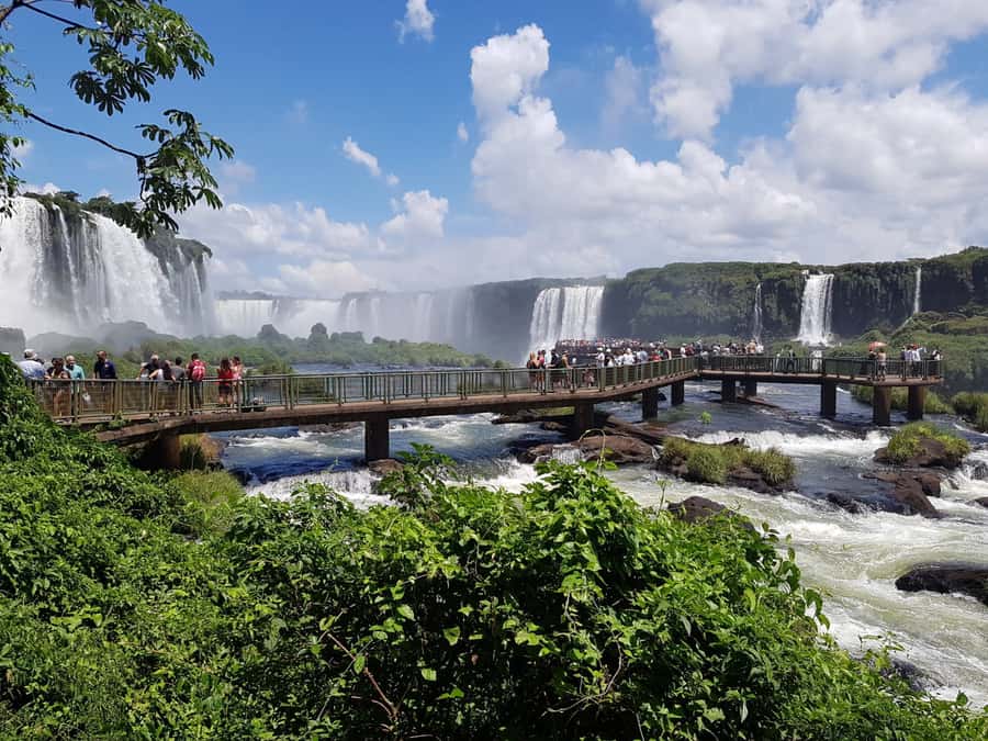 From Foz do Iguaçu: Brazilian Falls and Bird Park Tour - Driving through Iguaçu National Park