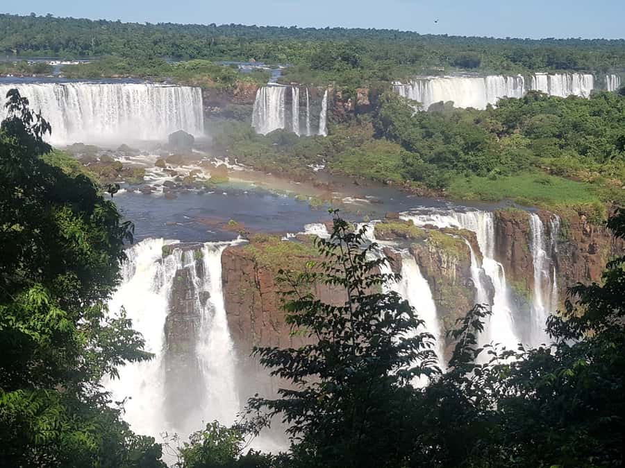 From Foz do Iguaçu: Brazilian Falls and Bird Park Tour - Guides Fabio and Claudio add the local detail