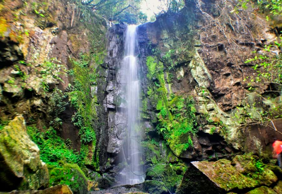 From Foz do Iguaçu: Secret Falls Adventure - Key points to know before you book