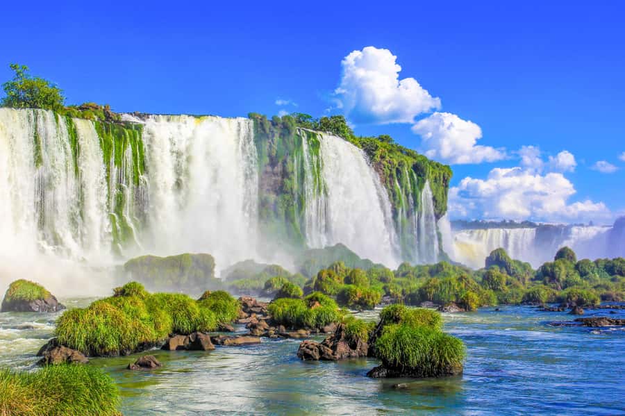 From Foz do Iguazu: Brazil Iguazu Falls & Macuco Safari Boat - The Macuco Safari boat ride