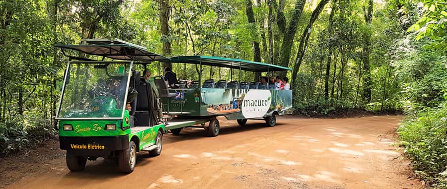 From Foz do Iguazu: Brazil Iguazu Falls & Macuco Safari Boat - Devil’s Throat from above the river