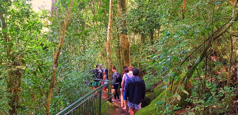 From Foz do Iguazu: Brazil Iguazu Falls & Macuco Safari Boat - Guides, language, and the level of service
