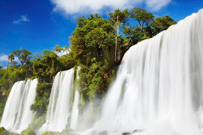 From Iguaçu: Argentinian Side with Rainforest Ecological Train - A guide who keeps the day moving