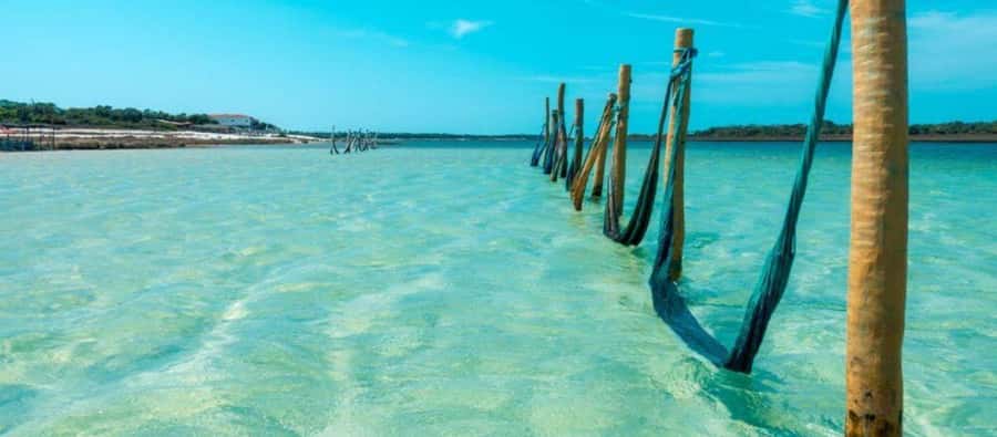 From Jericoacoara: Preá Beach and Paradise Lagoon Tour - Walking through the forest to Paradise Lagoon