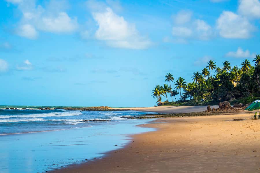 From João Pessoa: Full-Day Southern Coast Beaches Tour - Why the southern coast makes a good day trip