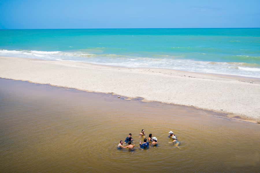 From João Pessoa: Full-Day Southern Coast Beaches Tour - Tabatinga, Praia Bela, and a route worth confirming
