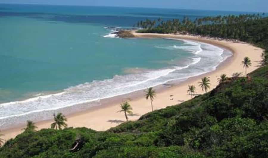 From João Pessoa: Full-Day Southern Coast Beaches Tour - Tambaba and its unusual place on the coast