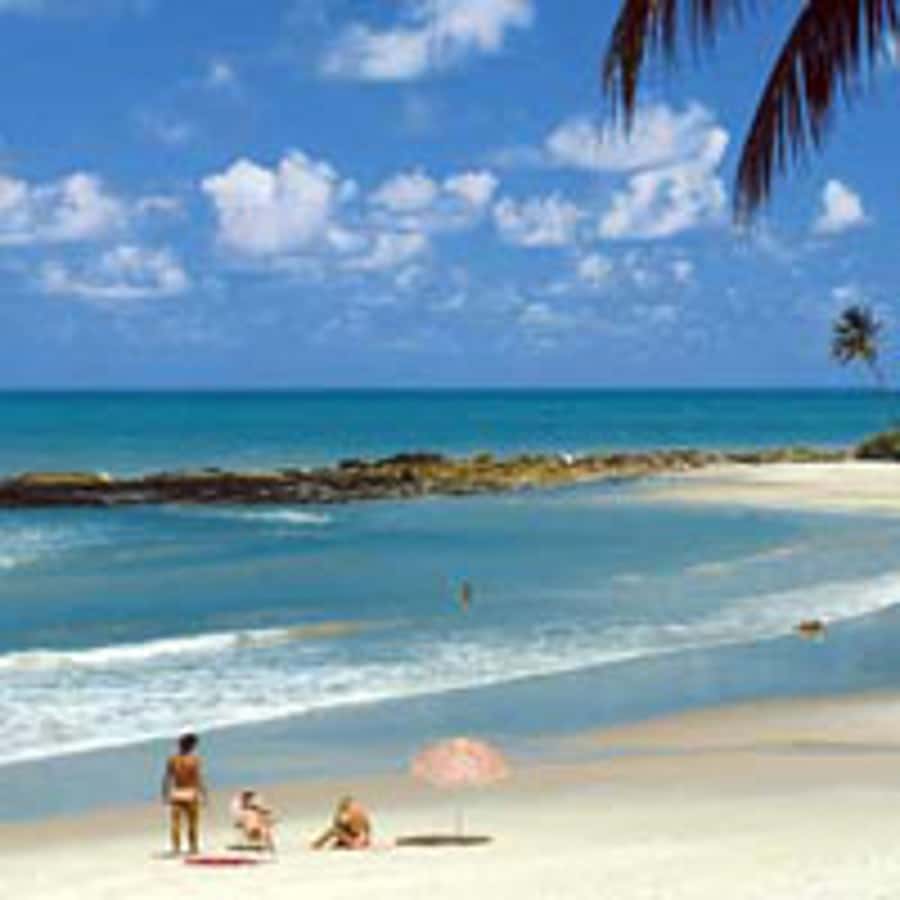 From João Pessoa: Full-Day Southern Coast Beaches Tour - What the guide and driver add to the day