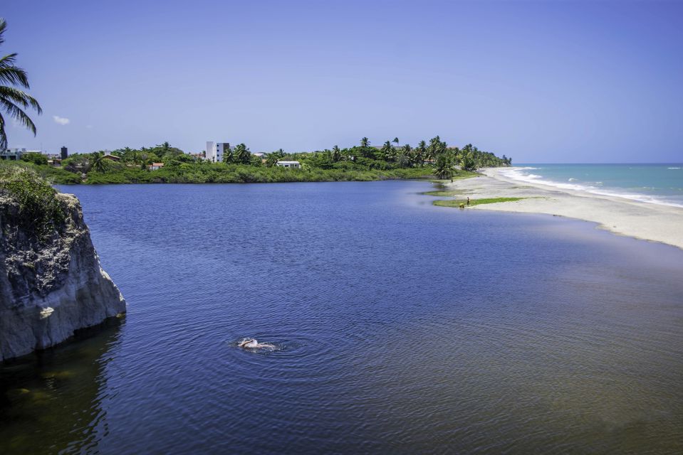 From João Pessoa: Full-Day Southern Coast Beaches Tour - Transport, pickup, and the long day