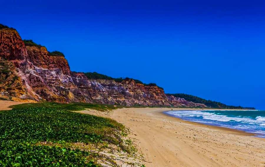 From Maceio: Gunga Beach & Full-Day Tour - Arriving at Gunga’s white sand