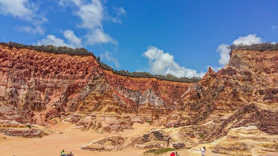From Maceio: Gunga Beach & Full-Day Tour - What the $19 price really covers