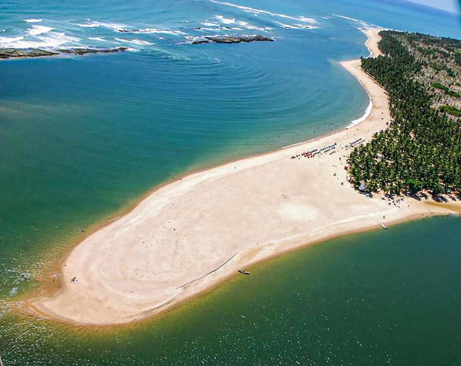 From Maceio: Gunga Beach & Full-Day Tour - Who will enjoy this Gunga Beach day