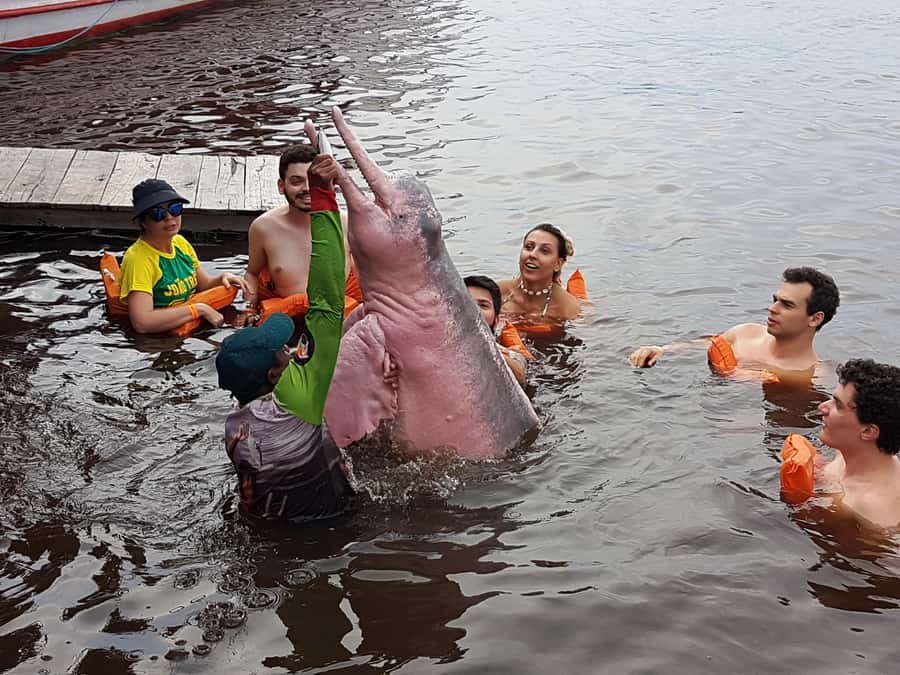 From Manaus: 3 or 4-Day Rio Negro & Anavilhanas River Cruise - Who should choose this cruise?