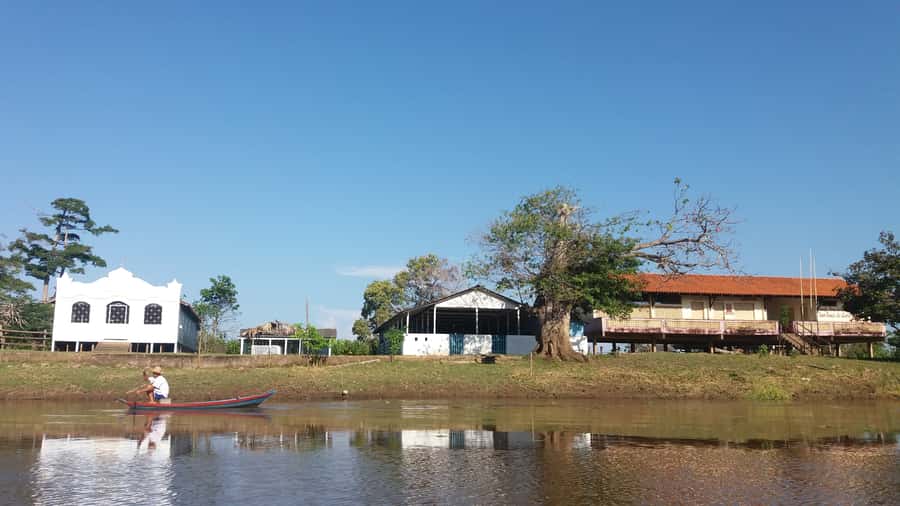 From Manaus: 3 or 4-Day Rio Negro & Anavilhanas River Cruise - Day 1: Janauri’s trees, lilies, and alligators