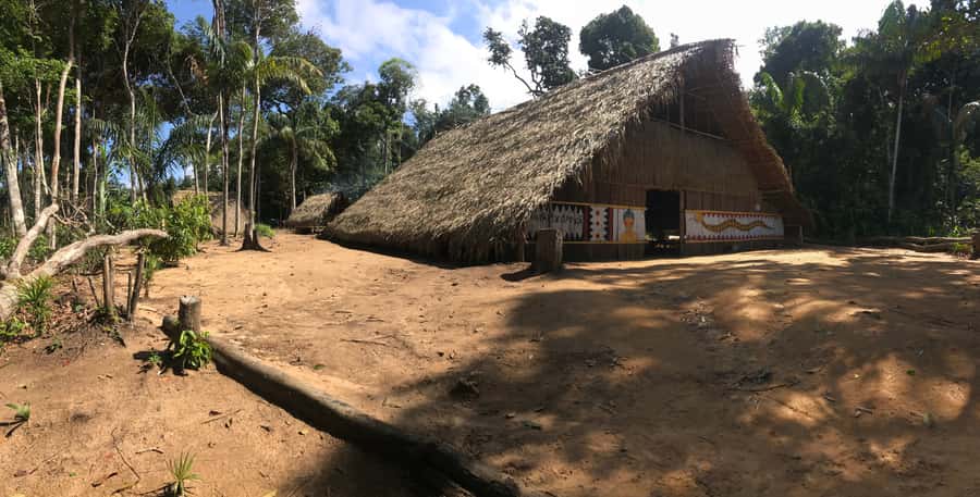 From Manaus: Negro River Half-Day Trip - Final verdict: book it with the right expectations