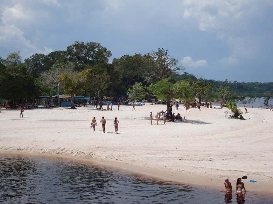 From Manaus: Negro River Half-Day Trip - Relaxing at a warm white-sand river beach
