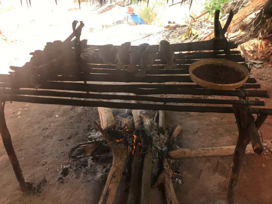 From Manaus: Negro River Half-Day Trip - Is $90 a fair price?