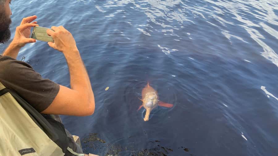 From Manaus: Negro River Half-Day Trip - Who should book this Manaus tour?