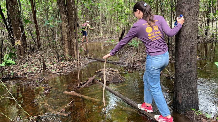 From Manaus: One-Day Amazon Jungle Experience - Key points about this Amazon day trip