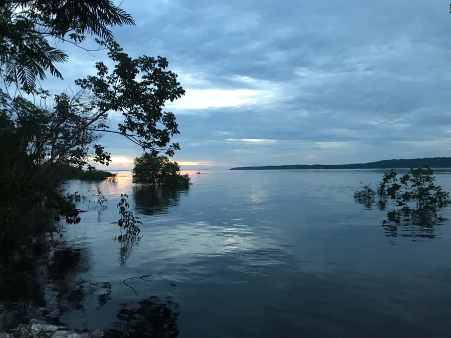 From Manaus: One-Day Amazon Jungle Experience - Why this Manaus tour offers good value