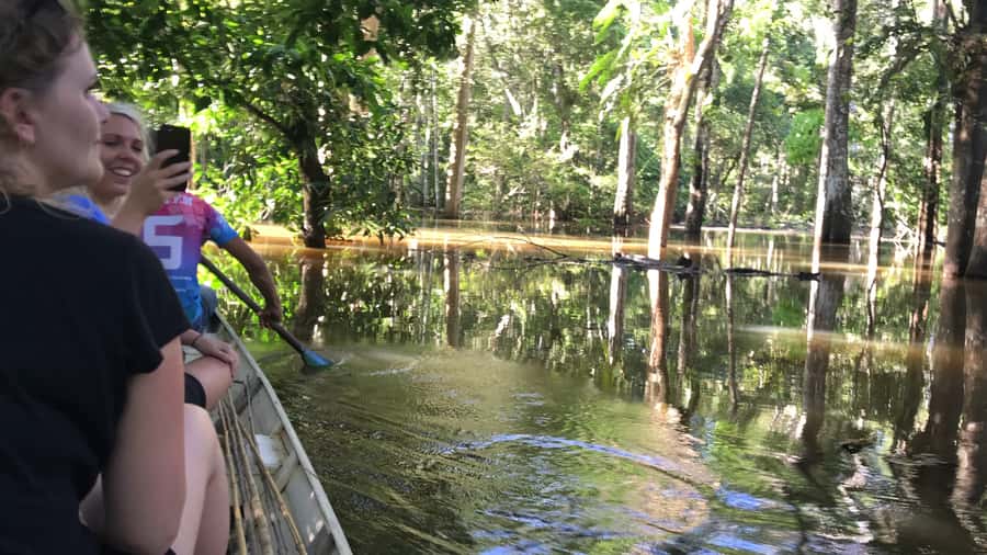 From Manaus: One-Day Amazon Jungle Experience - The three-hour forest trek