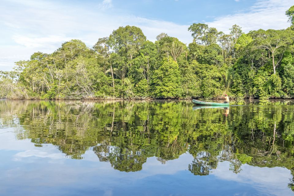 From Manaus: One-Day Amazon Jungle Experience - Lunch with local Amazonian flavors