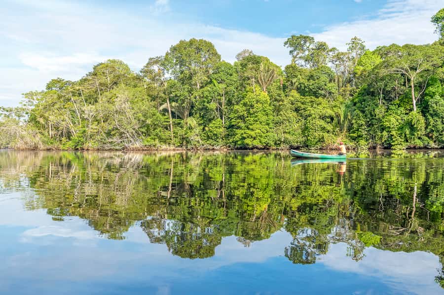 From Manaus: One-Day Amazon Jungle Experience - Guides, safety, and the pace of the day