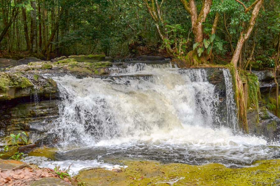 From Manaus: Presidente Figueiredo Waterfalls Daytrip - Gruta do Refugio and the wet forest route