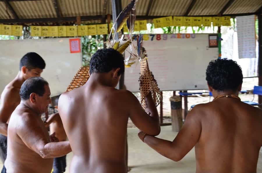 From Manaus: Tucandeira Ants Tribe Ritual Full Day Trip - Key points before you book