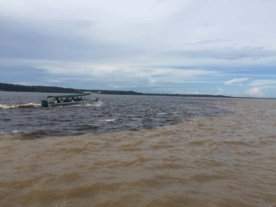 From Manuas: Full-Day River Tour - Feeding and fishing for huge pirarucu