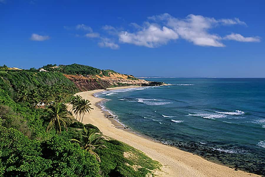 From Natal: Pipa, Cacimbinhas, And Love Beach Full-Day Tour - Key points to know before booking