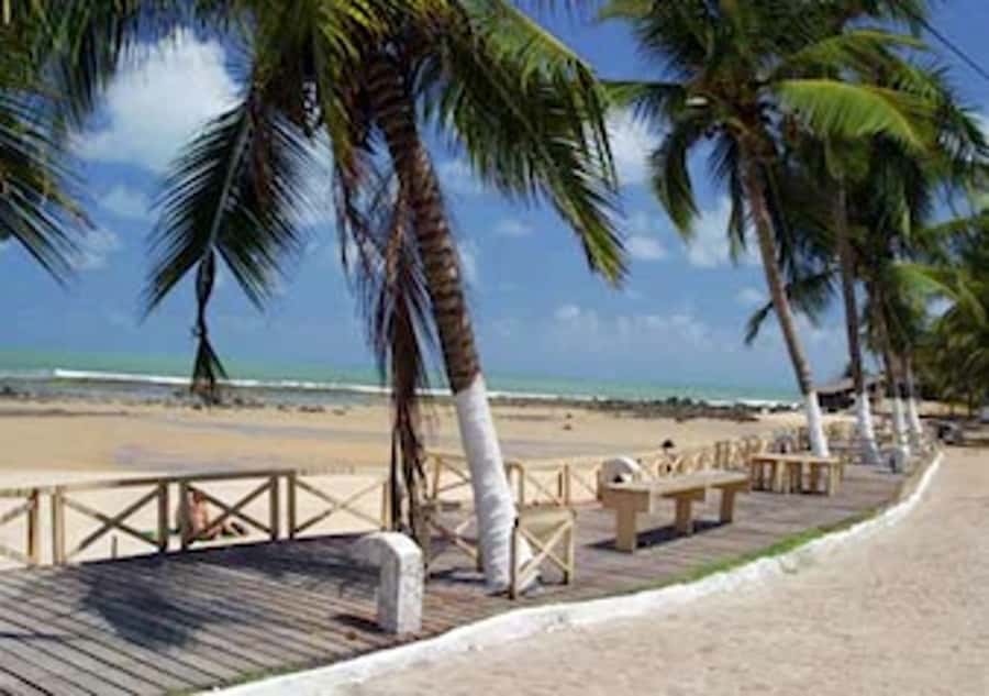 From Natal: Pipa, Cacimbinhas, And Love Beach Full-Day Tour - Is $153 good value?