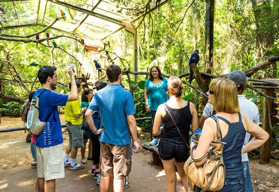 From Puerto Iguazú: Brazilian Bird Park Tour with Tickets - Is $133 a fair price?