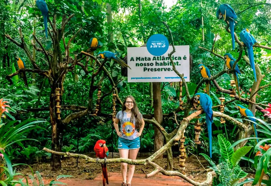 From Puerto Iguazú: Brazilian Bird Park Tour with Tickets - Who will enjoy this bird park most?
