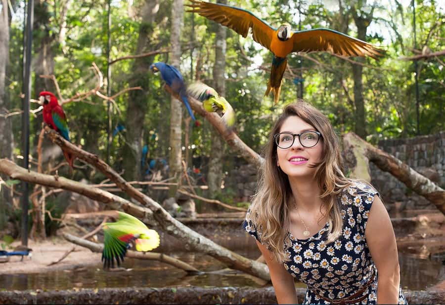 From Puerto Iguazú: Brazilian Bird Park Tour with Tickets - Booking details worth keeping in mind