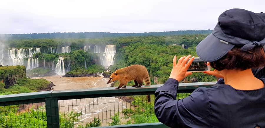 From Puerto Iguazu: Brazilian Falls with Boat Adventure - Why this Brazilian-side combination works