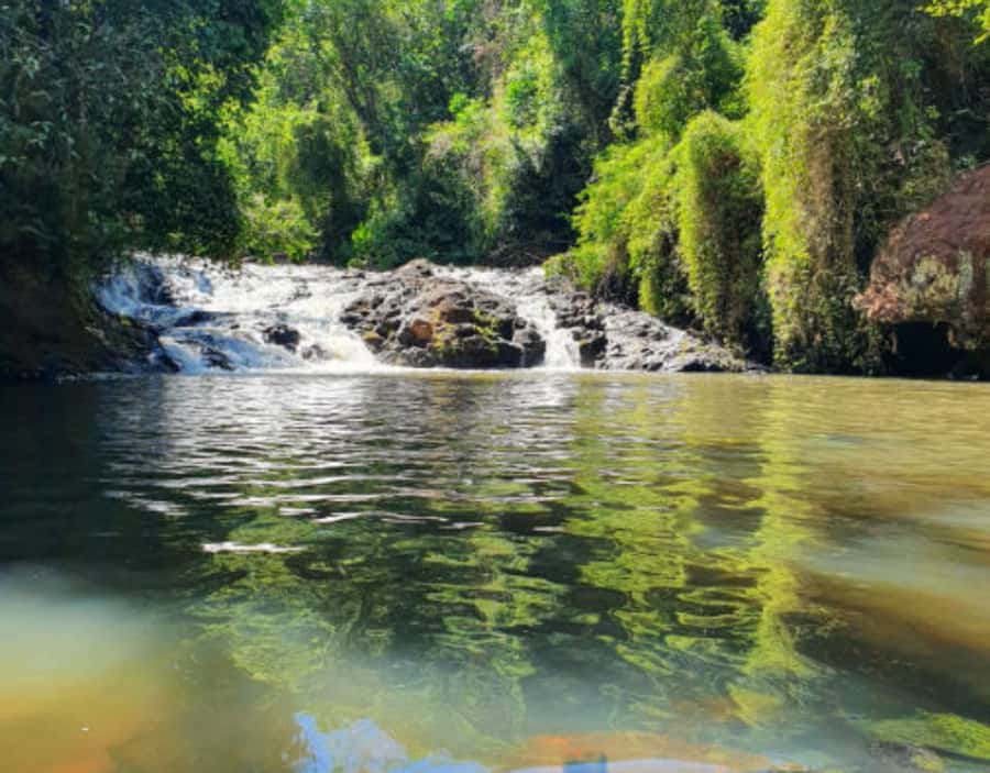 From Puerto Iguazu: Secret Falls Adventure - The 20-minute ride into the forest