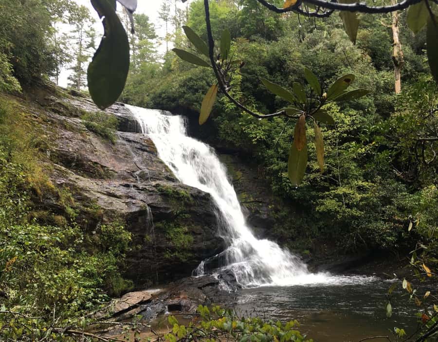 From Puerto Iguazu: Secret Falls Adventure - The full-day option reaches ten falls