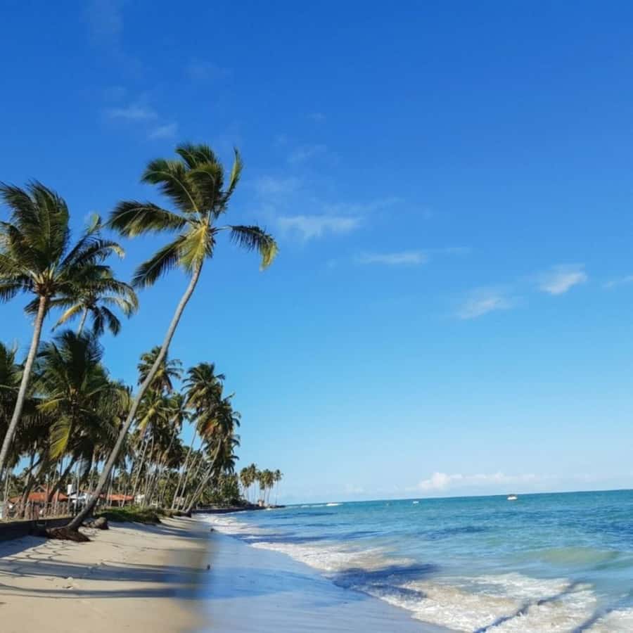 From Recife : Carneiros Beach - Key points to know before booking
