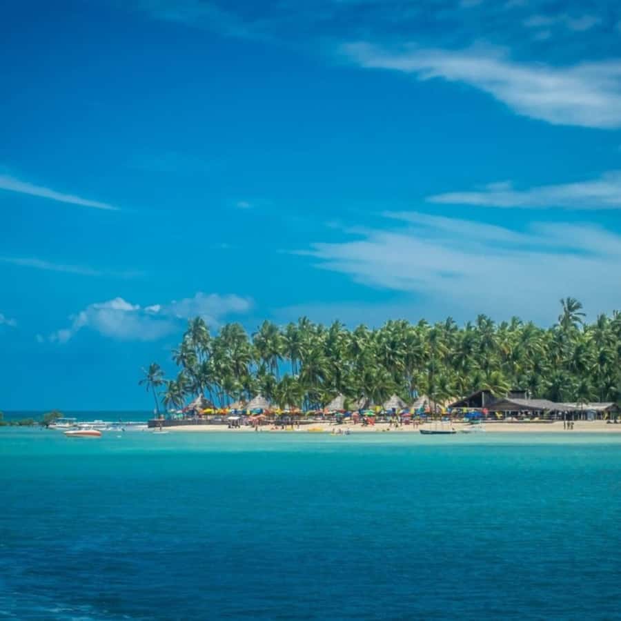 From Recife : Carneiros Beach - Why Carneiros makes a worthwhile day trip from Recife