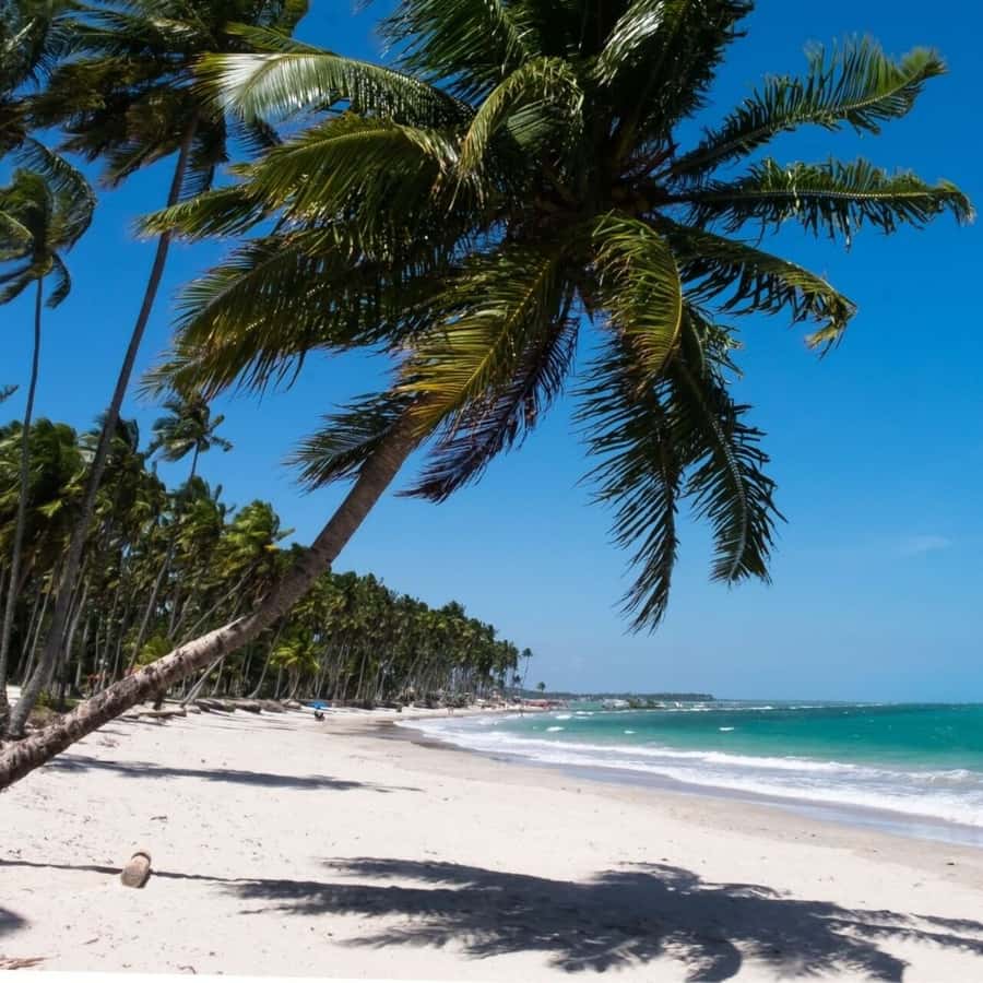 From Recife : Carneiros Beach - Arriving at the seafront support point