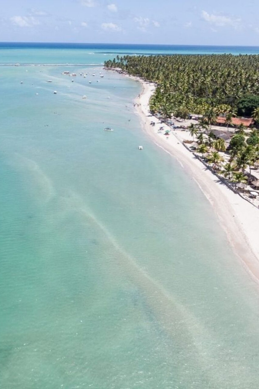 From Recife : Carneiros Beach - Natural pools and warm water near Carneiros