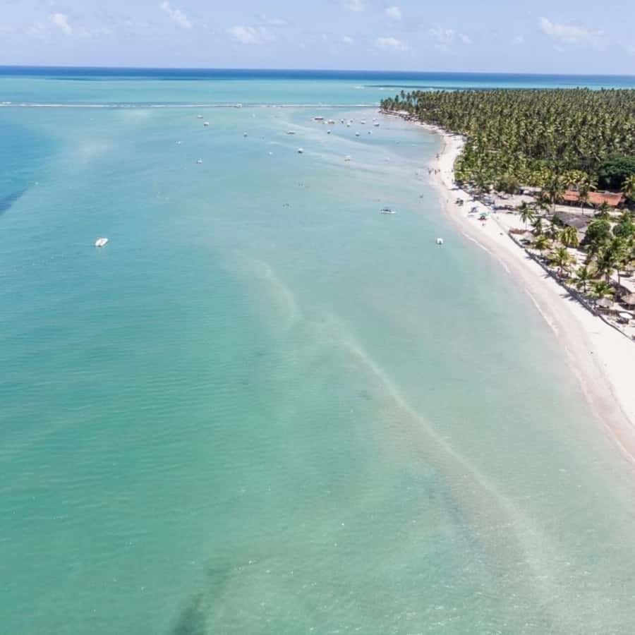 From Recife : Carneiros Beach - Leaving Recife from Boa Viagem or Piedade