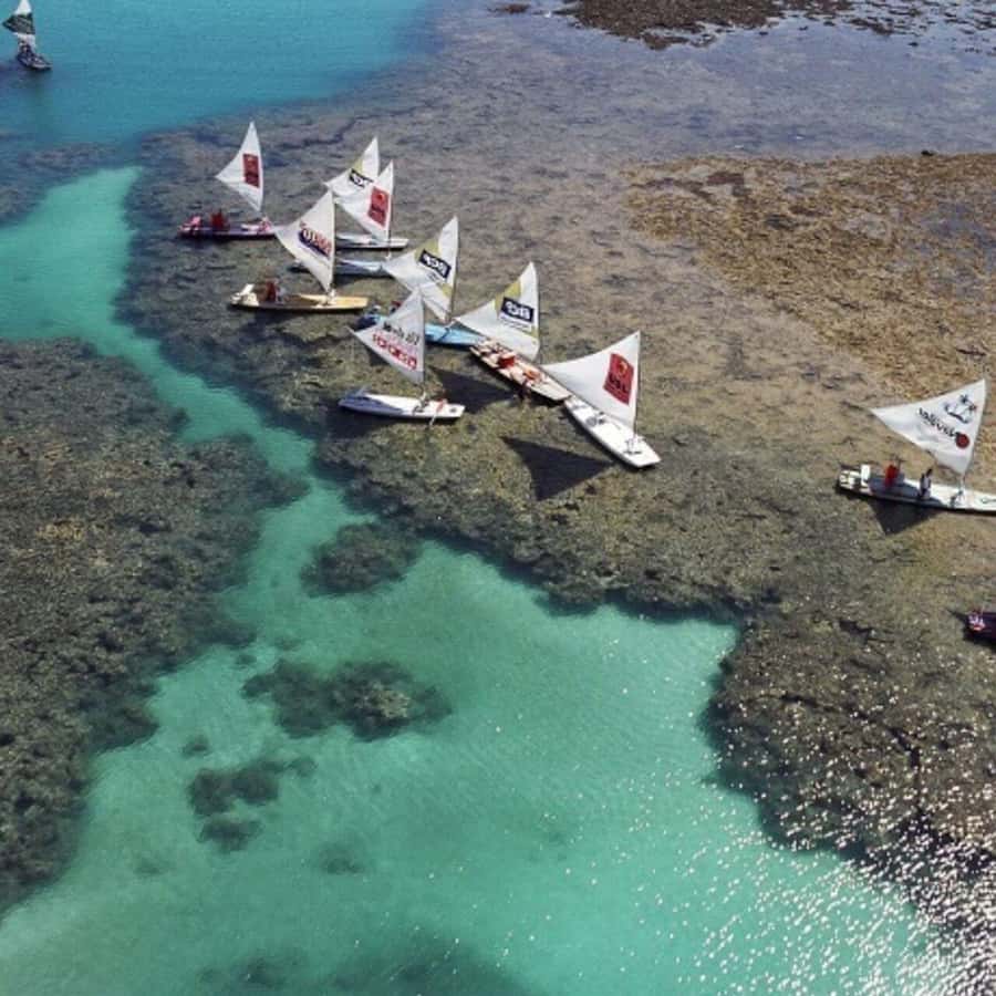 From Recife : Tour for Porto de Galinhas - Optional buggy routes along four beaches