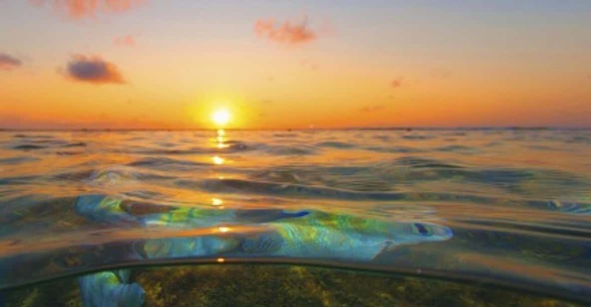 From Recife : Tour for Porto de Galinhas - Is $30 good value?