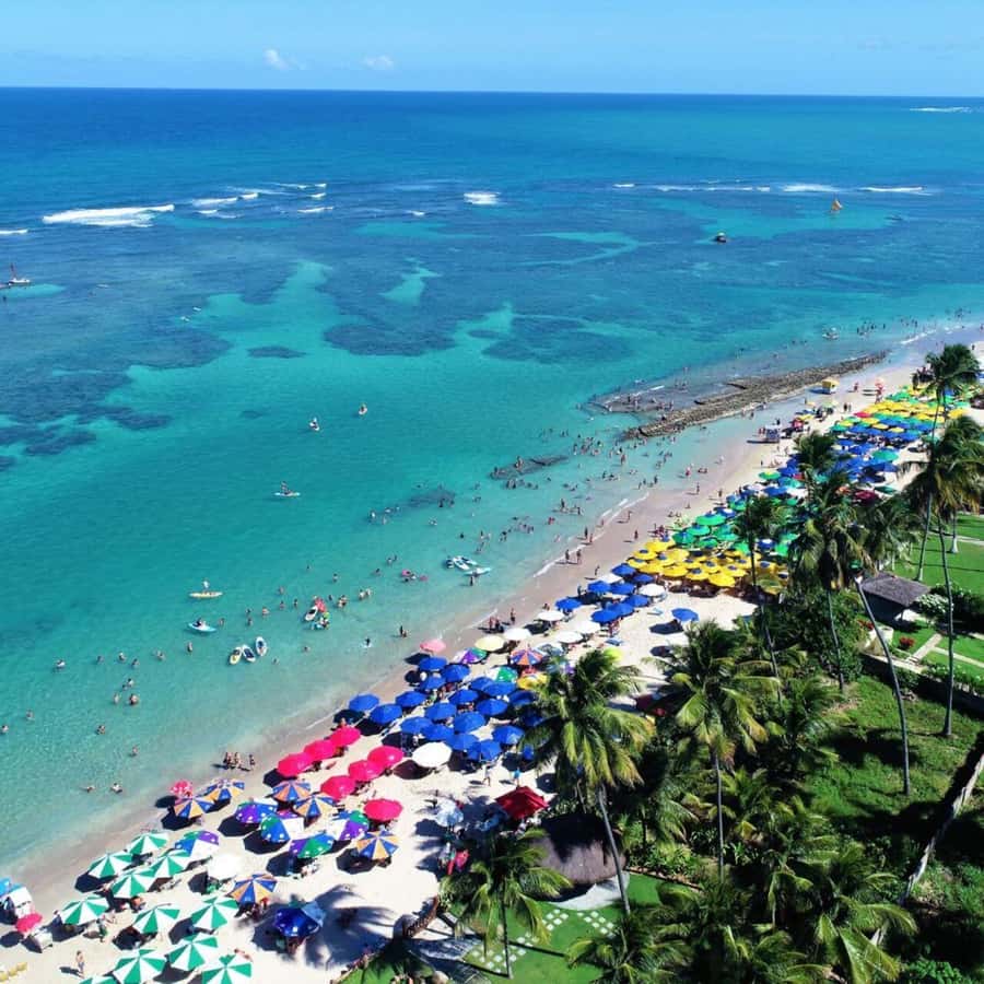 From Recife : Tour for Porto de Galinhas - The journey from Boa Viagem or Piedade