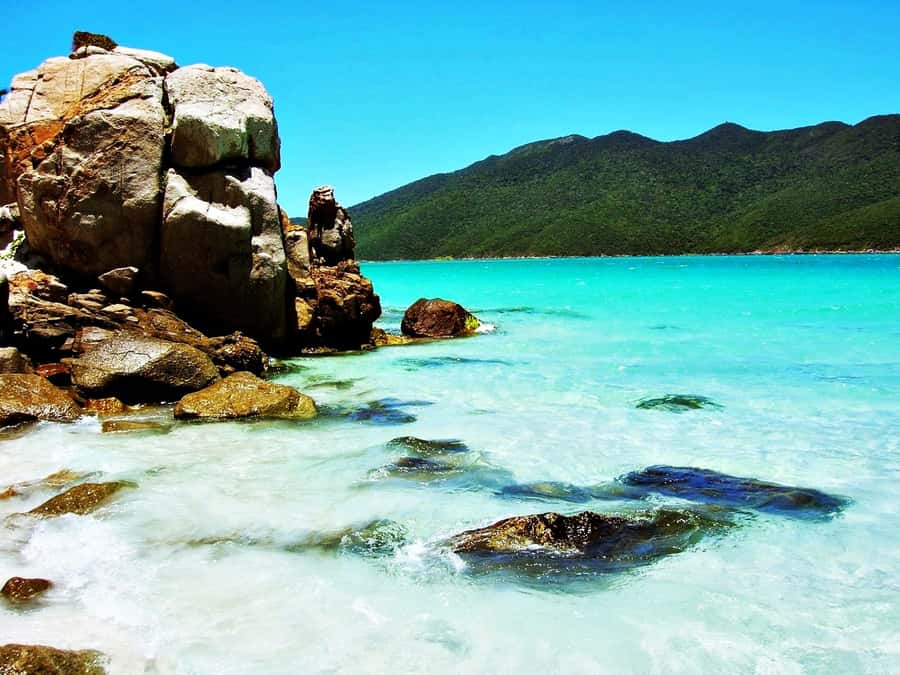 From Rio: Arraial do Cabo - The Brazilian Caribbean Daytrip - Free time in Arraial do Cabo