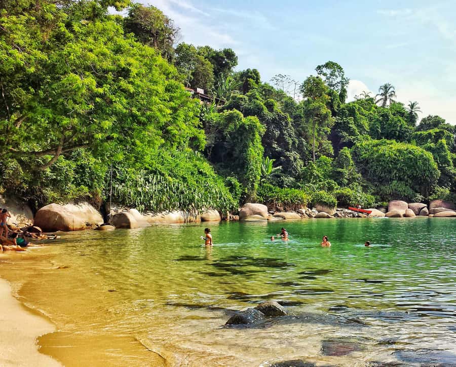 From Rio de Janeiro: Angra dos Reis Boat Trip with Lunch - The three-hour road journey to Angra dos Reis