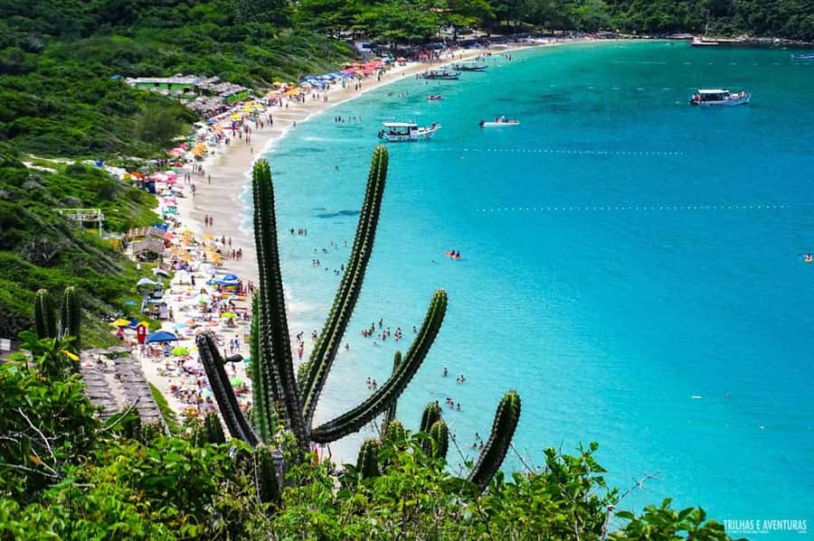 From Rio de Janeiro: Arraial do Cabo Island Day Trip - Praia do Farol and the best water views